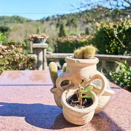 Elysee Vakantiehuis La Spezia