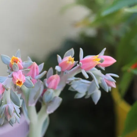 Elysee Nyaraló La Spezia