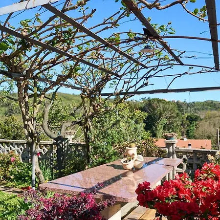 Elysee Holiday home